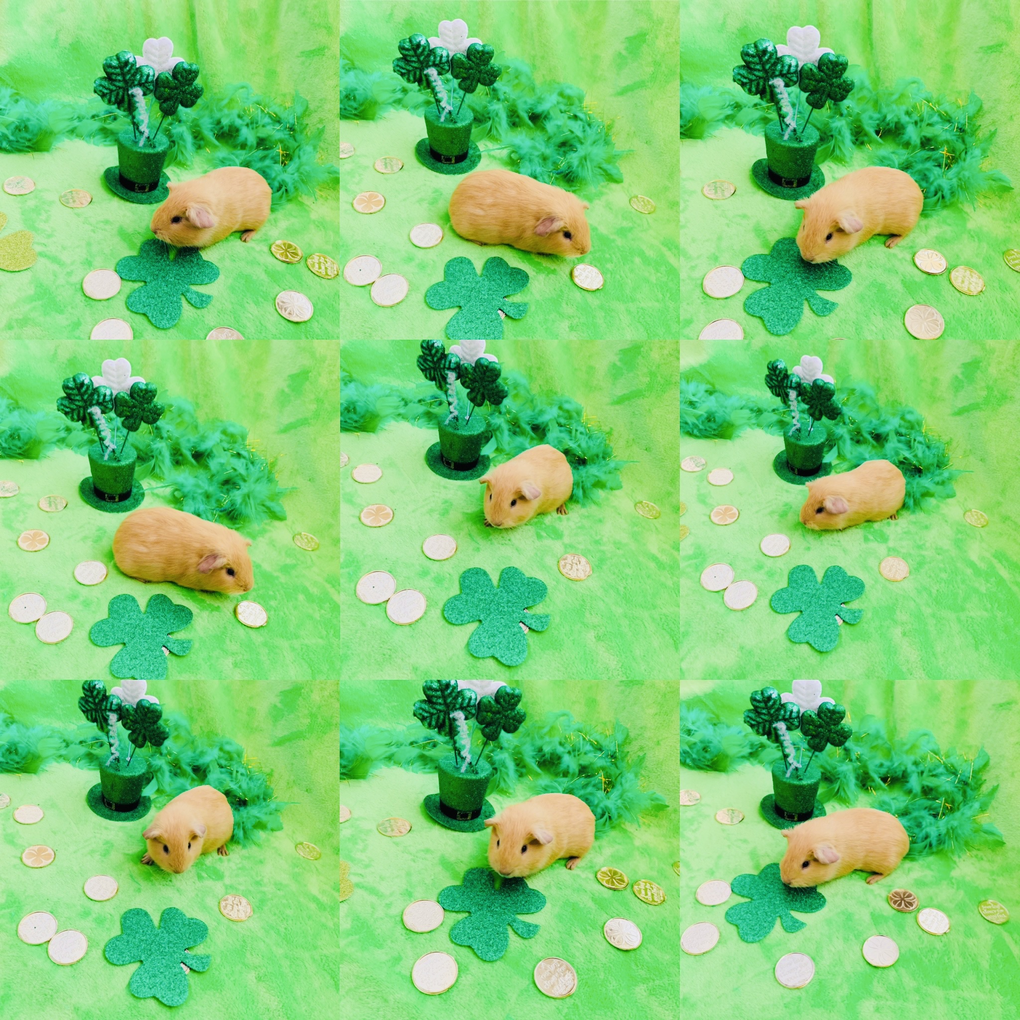 58D63572-A2C9-41F0-BDFB-788FD2484619