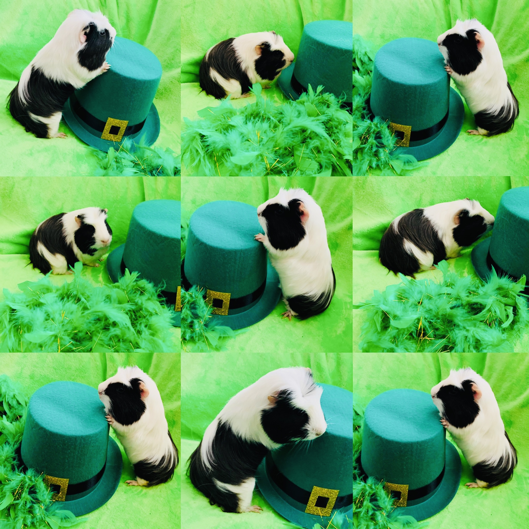 7D044650-076A-4138-A807-A18E08BEC09E